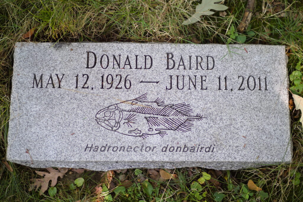 Donald Baird, 1926–2011, with Hadronector donbairdi engraved on the stone